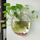 Аквариум настенный для 2 золотых рыбок