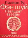 Ту Лиллиан, Фэн шуй Летящей звезды для профессионалов